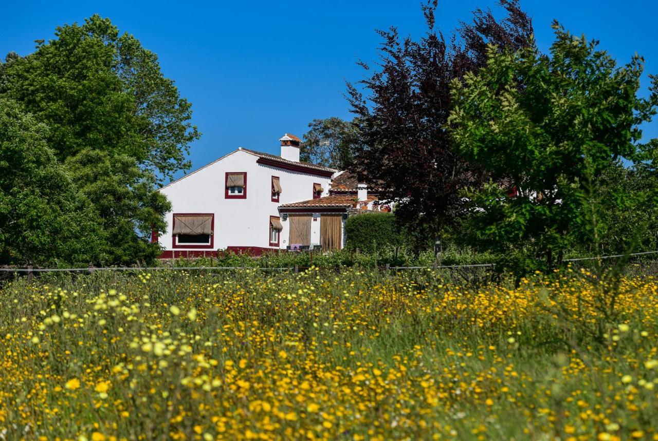 Hotel Quinta Da Dourada Portalegre Exterior foto